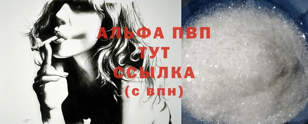 сатива Сосновка
