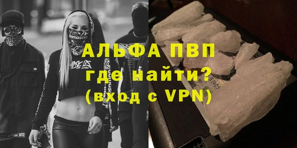 шишки Сосновый Бор