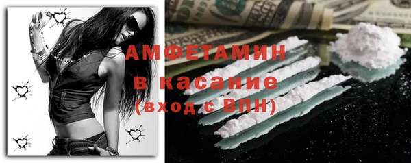 шишки Сосновый Бор