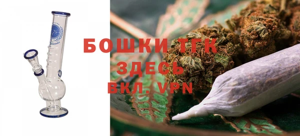 сатива Сосновка