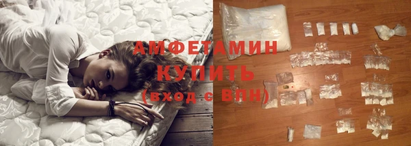 шишки Сосновый Бор
