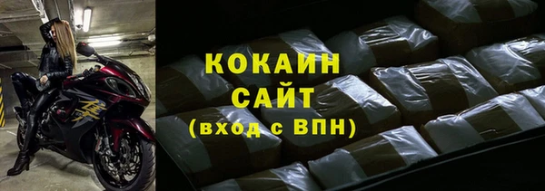 сатива Сосновка
