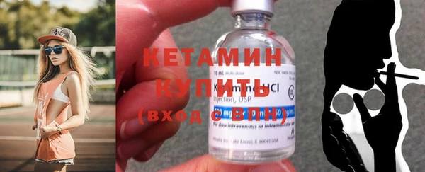 сатива Сосновка