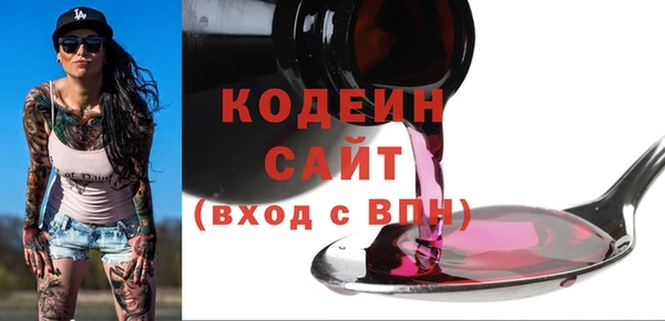 шишки Сосновый Бор