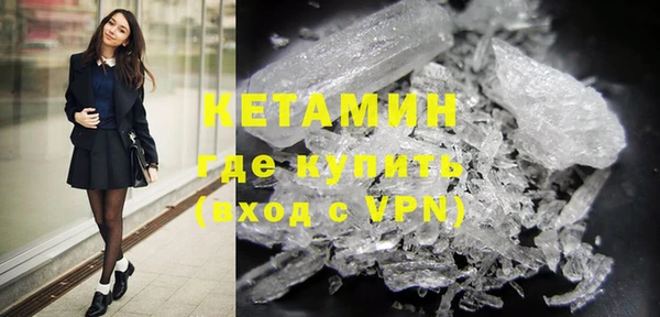 шишки Сосновый Бор