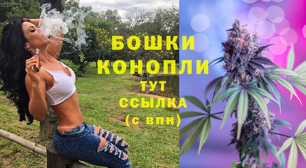 сатива Сосновка