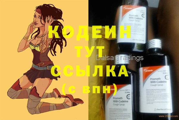 сатива Сосновка