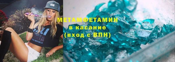 шишки Сосновый Бор