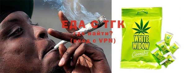 шишки Сосновый Бор