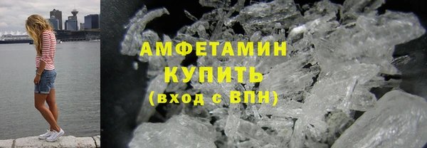 шишки Сосновый Бор
