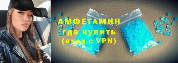 шишки Сосновый Бор