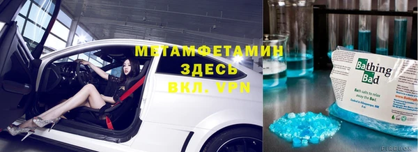 шишки Сосновый Бор