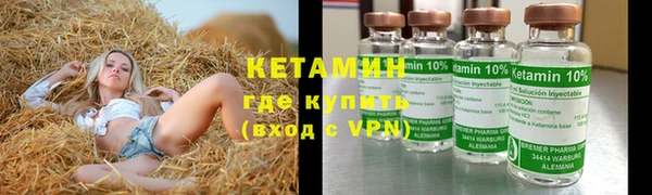 сатива Сосновка