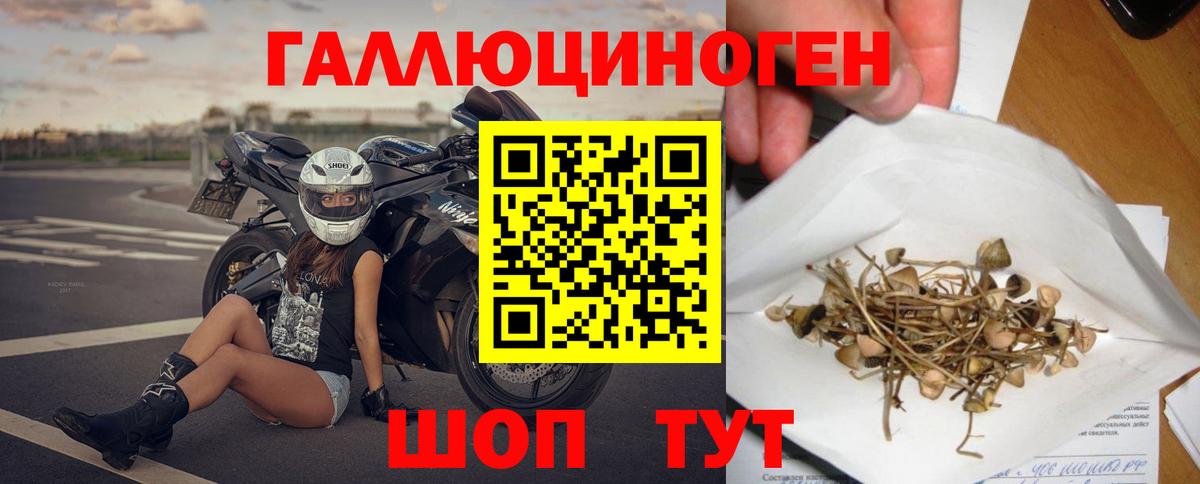 Псилоцибиновые грибы Psilocybe  Вход с VPN  Рыбинск 